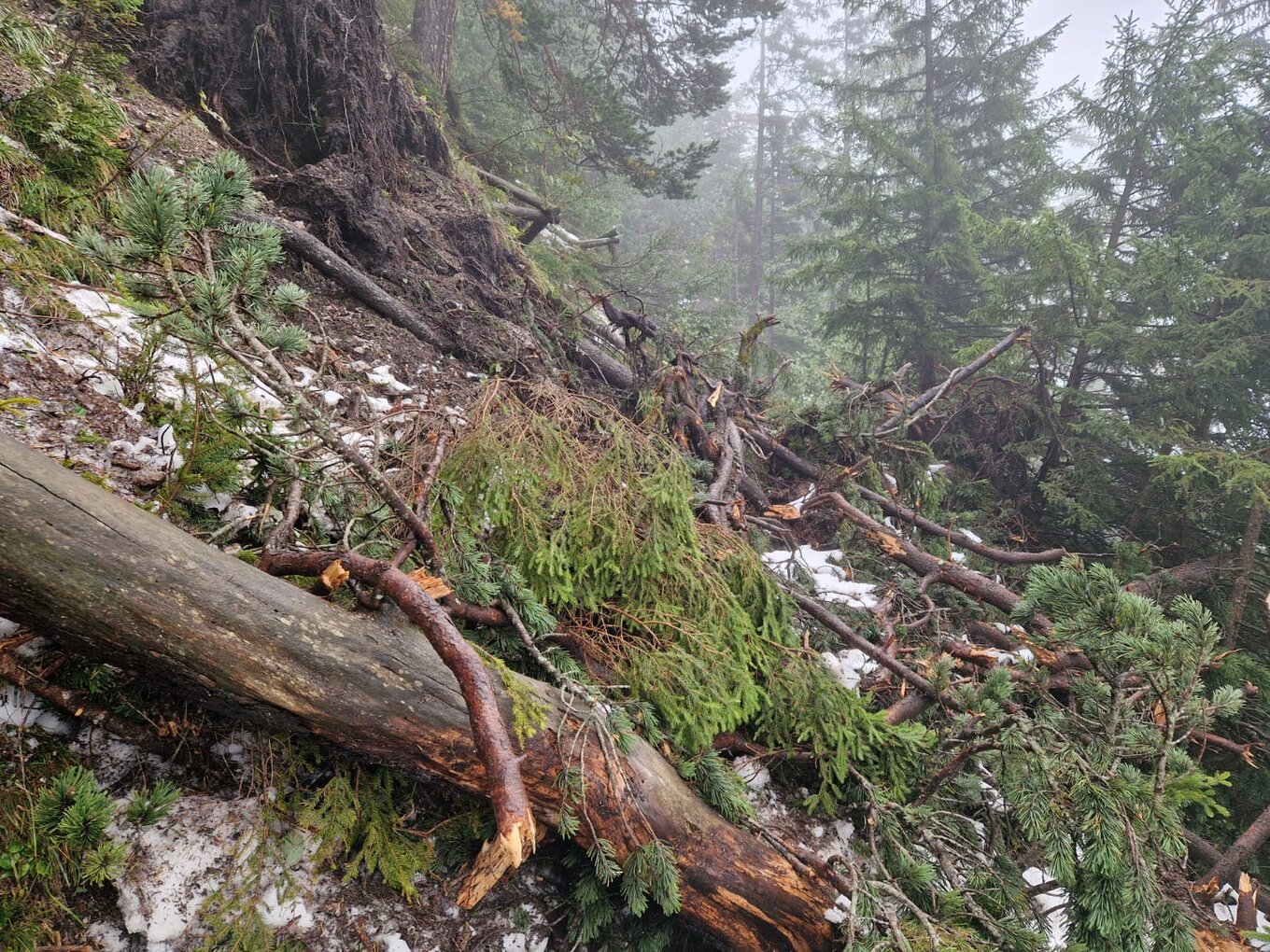 Bild im Zusammenhang mit dem Beitrag