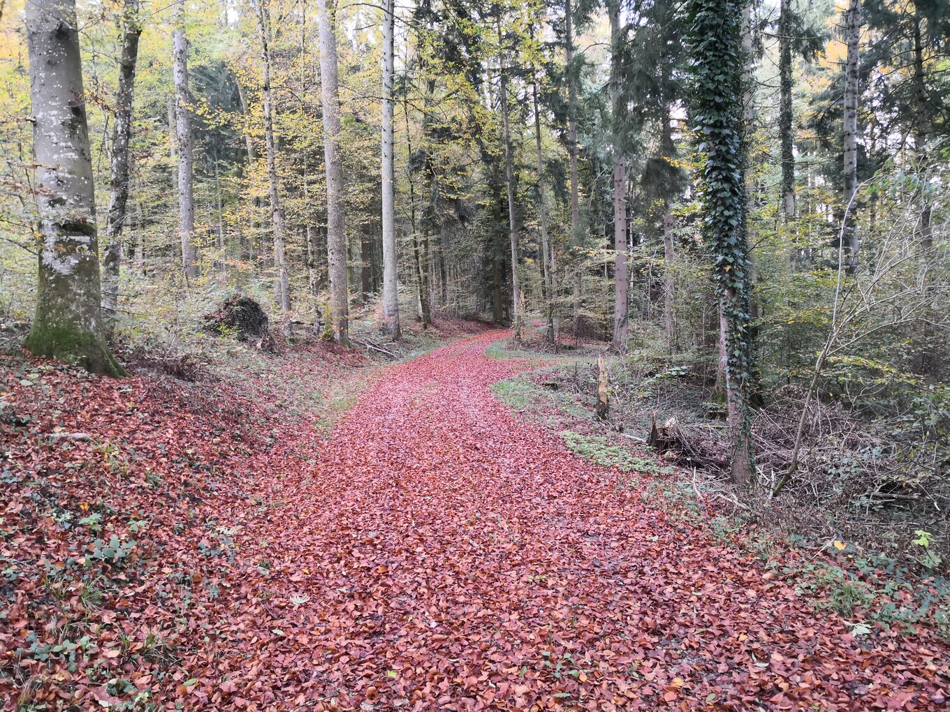 Bild im Zusammenhang mit dem Beitrag